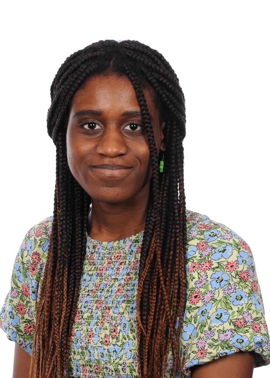 Adanma Okakpu, Consultant